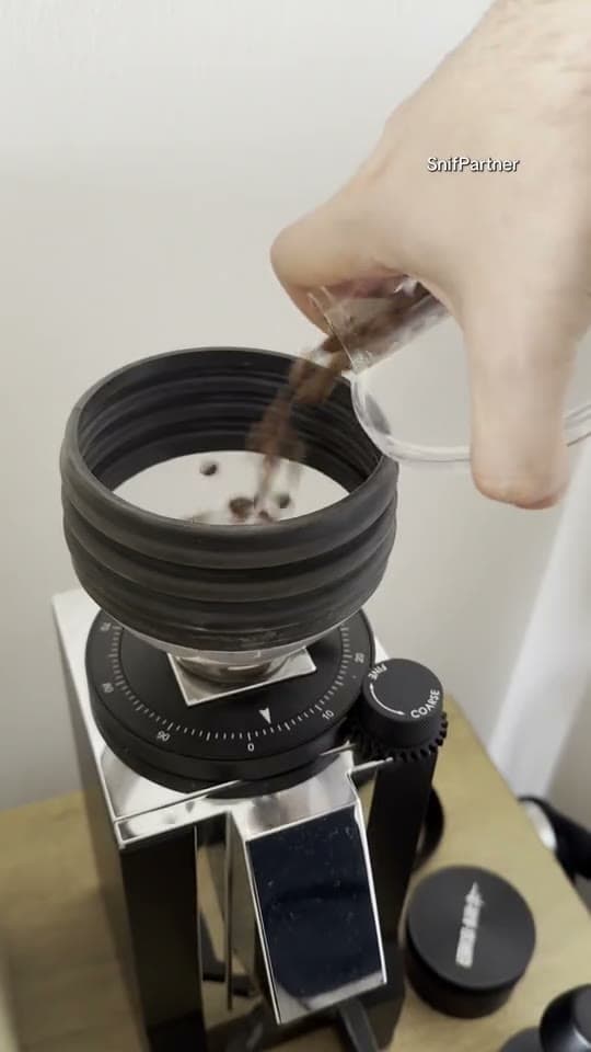 Snif video still